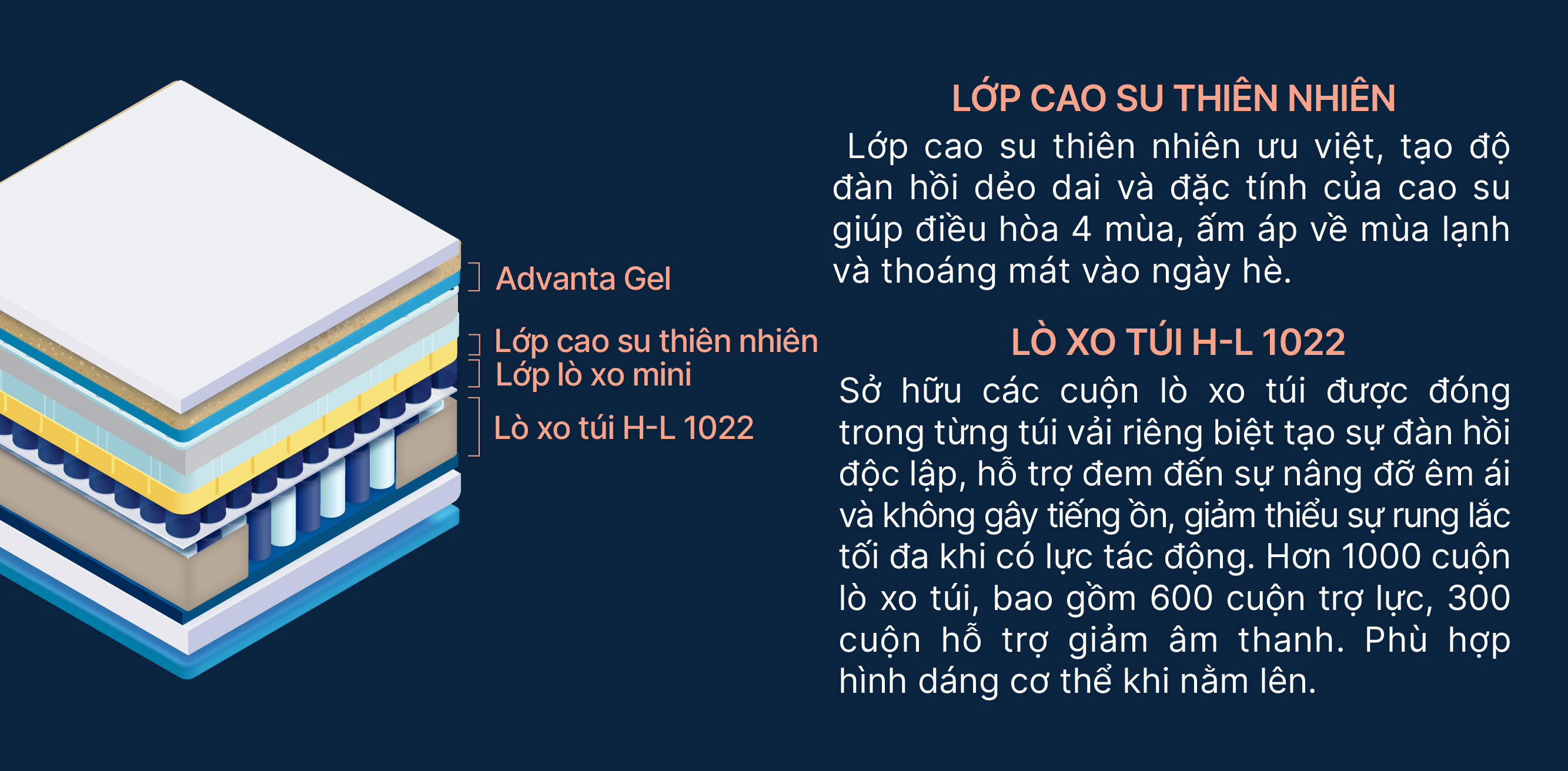 mô tả dem-lo-xo-king-koil-verona-cushion-euro-top-1